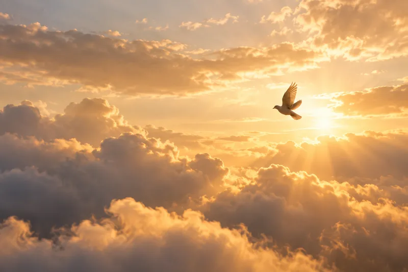 A white dove flying through warm clouds and light.